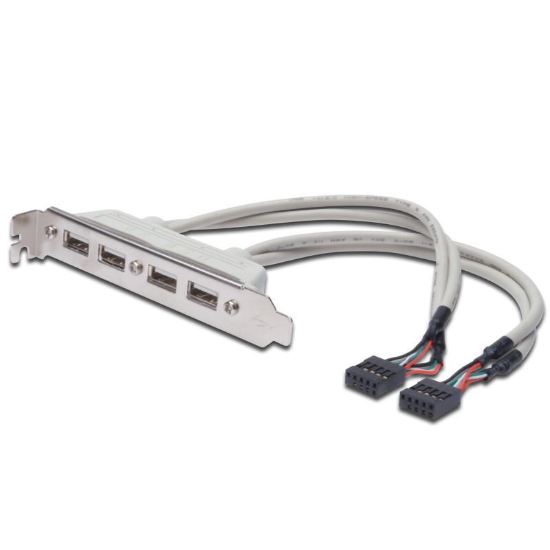 CC-100300-002-G-B | ADATTATATORE USB SU STAFFA PC 2 X (2X5 PIN) | OEM | distributori informatica