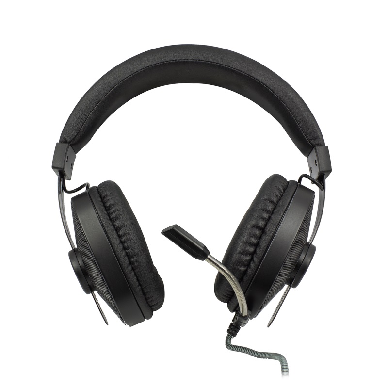 PL3321 | Over-ear Gaming Headset with microphone and RGB LEDs | Ewent | distributori informatica